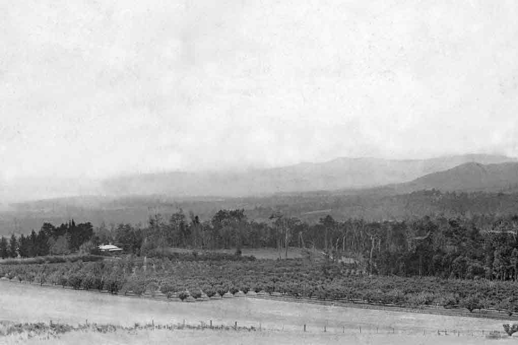 Mont De Lancey farm vista -circa 1914