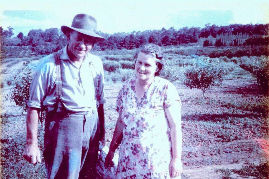 Reg & Gwen sebire - circa-1950s